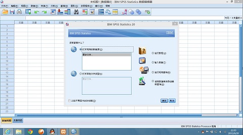 IBM-SPSS-interface IBM SPSS interface